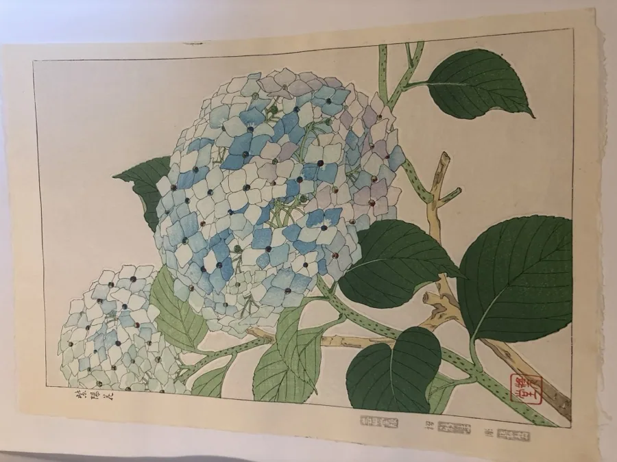 河原崎奨堂「紫陽花」