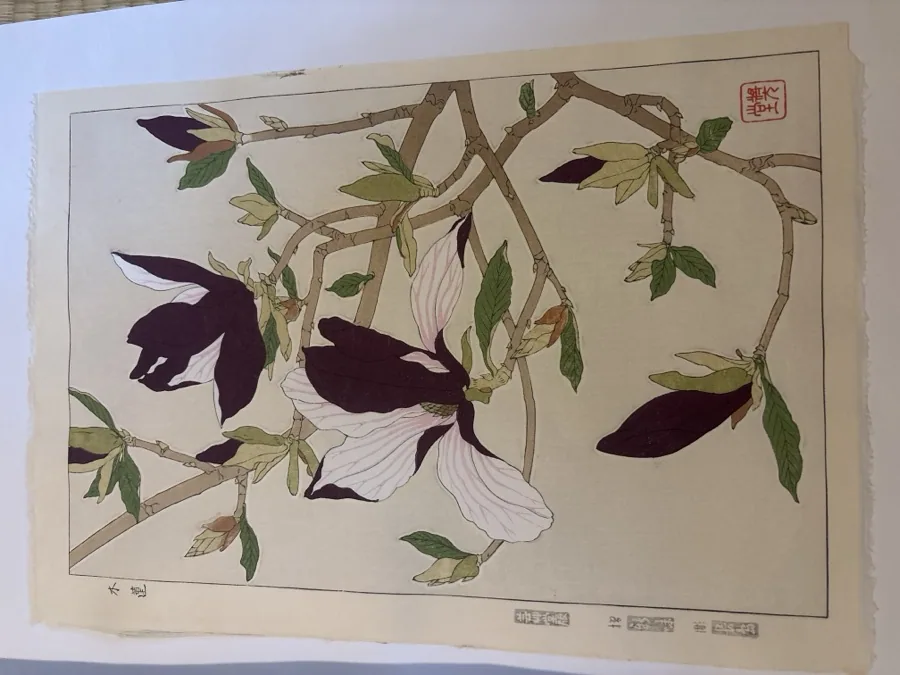 河原崎奨堂「木蓮」