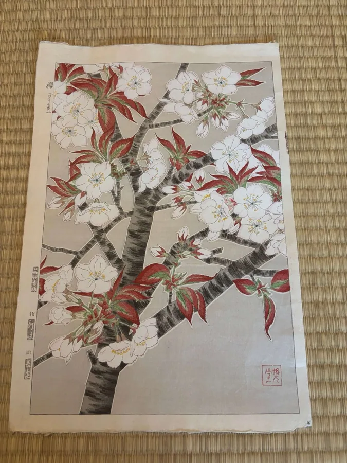 河原崎奨堂「櫻」