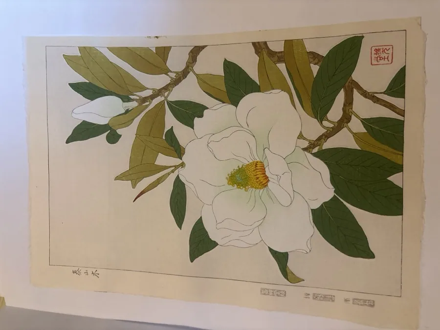 河原崎奨堂「泰山木」