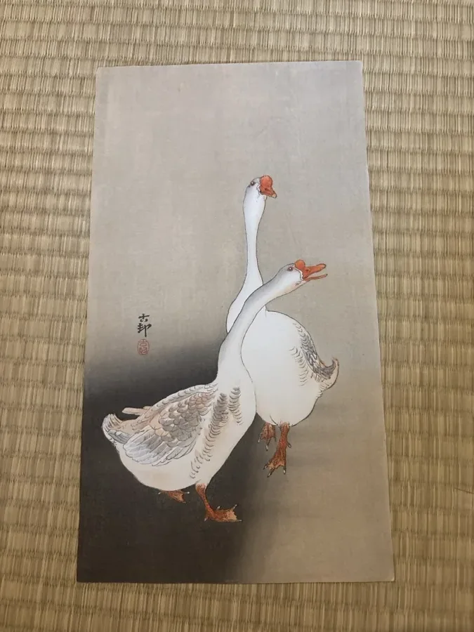 小原古邨「鵞鳥」